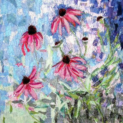 Irene - Echinacea